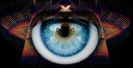 eyes